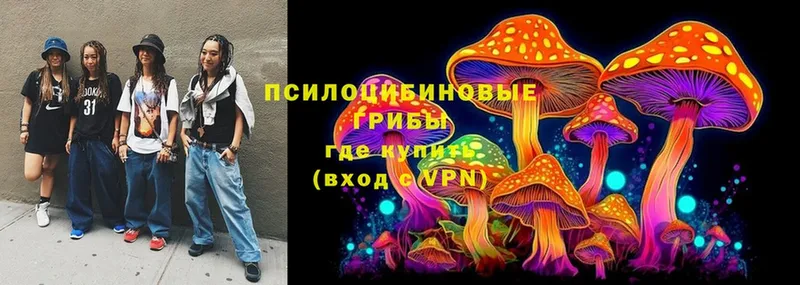 Галлюциногенные грибы Psilocybine cubensis  Балей 